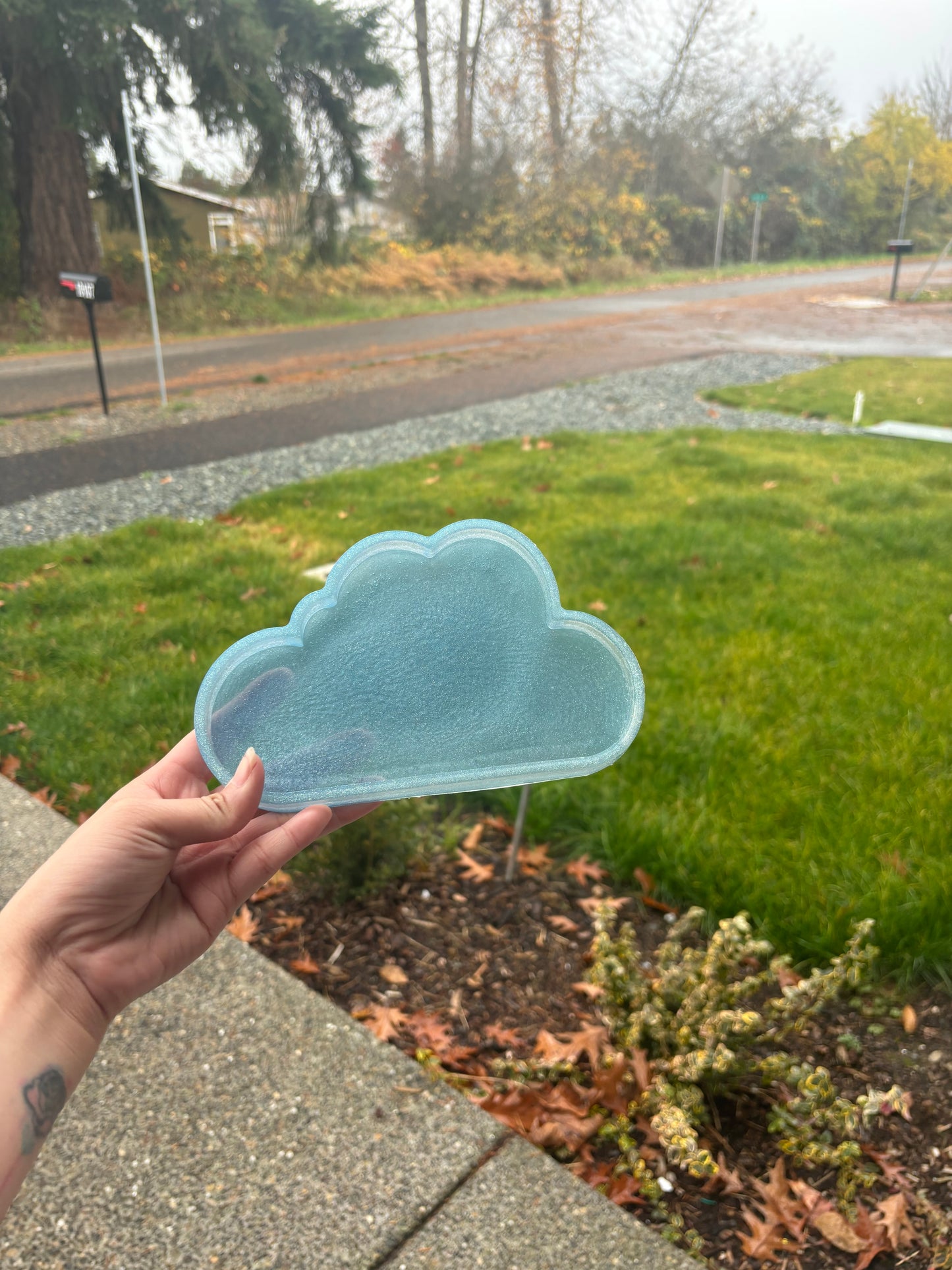 Cloud tray